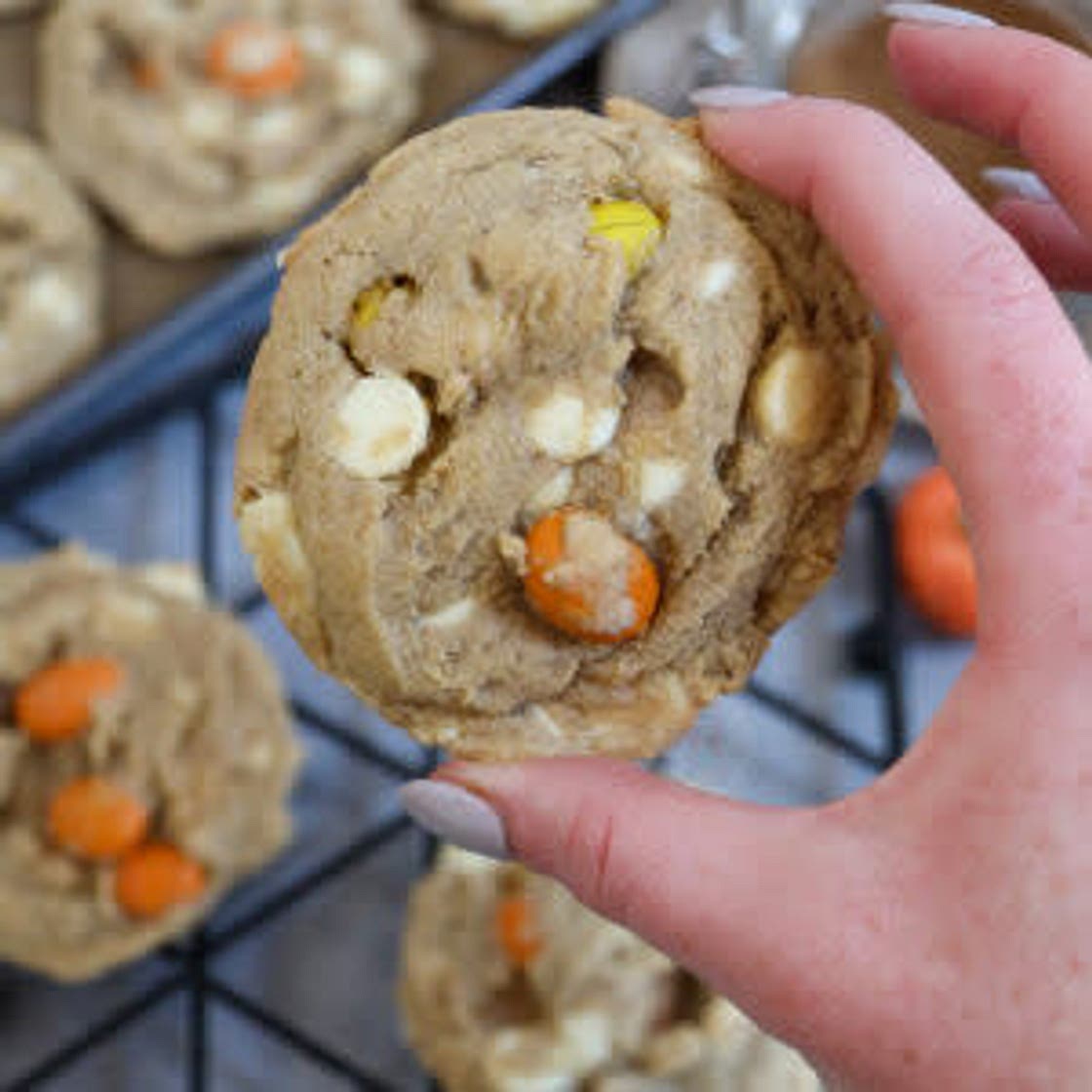 Pumpkin Spice Cookies