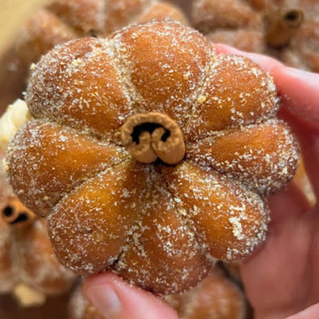 Pumpkin Cheesecake Donuts