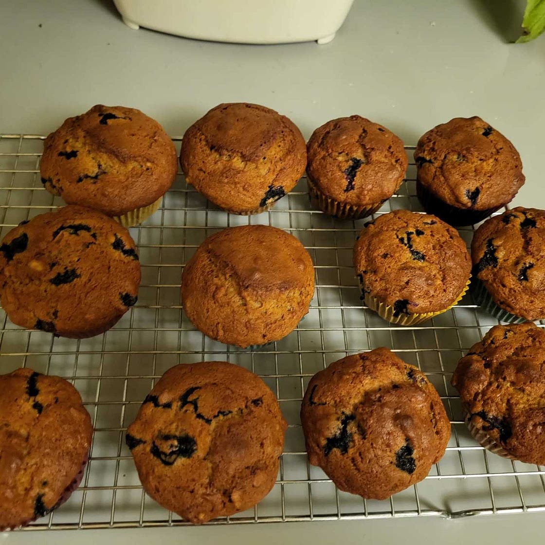 Banana Blueberry Walnut Muffins