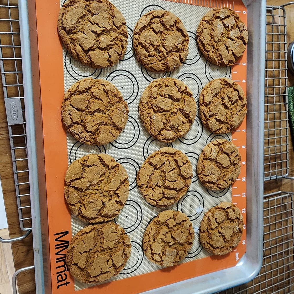 Chewy Ginger Molasses Cookies