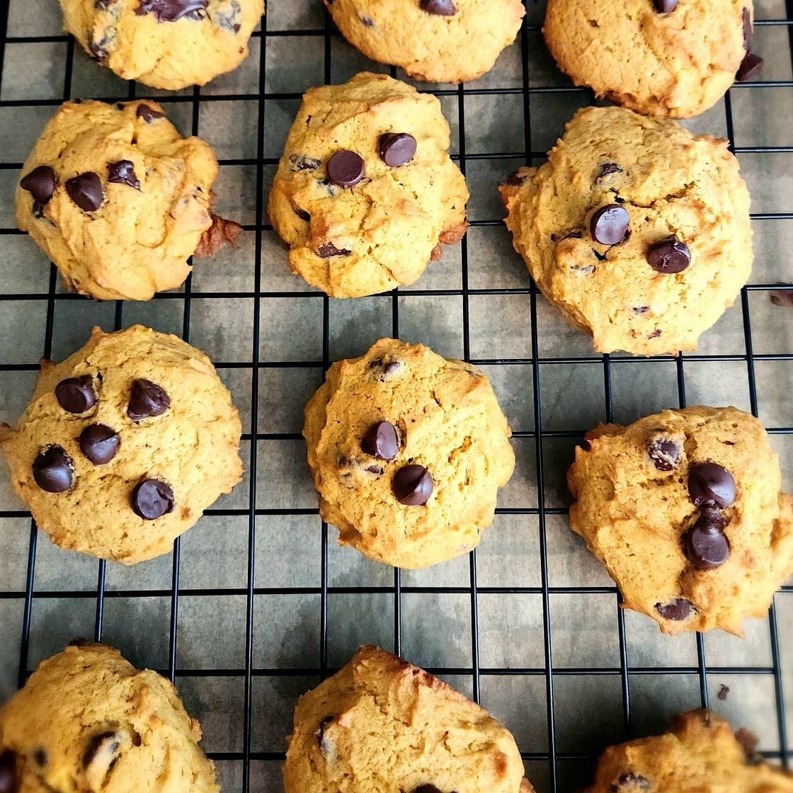 Pumpkin Chocolate Chip Cookies