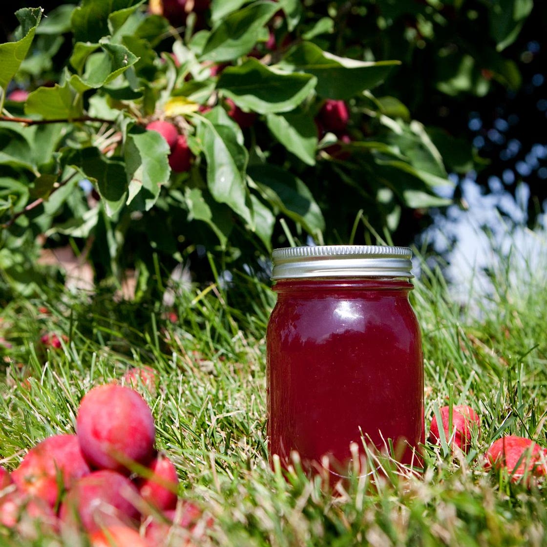The perfect crab apple jelly recipe