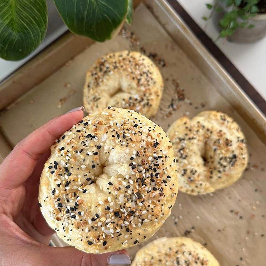Healthy Greek Yogurt Bagels