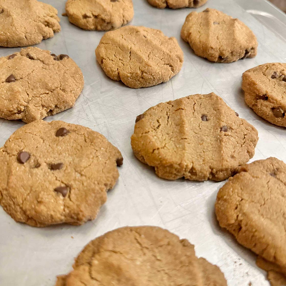 Gluten Free, Grain Free, Vegan Chocolate Chip Cookies 