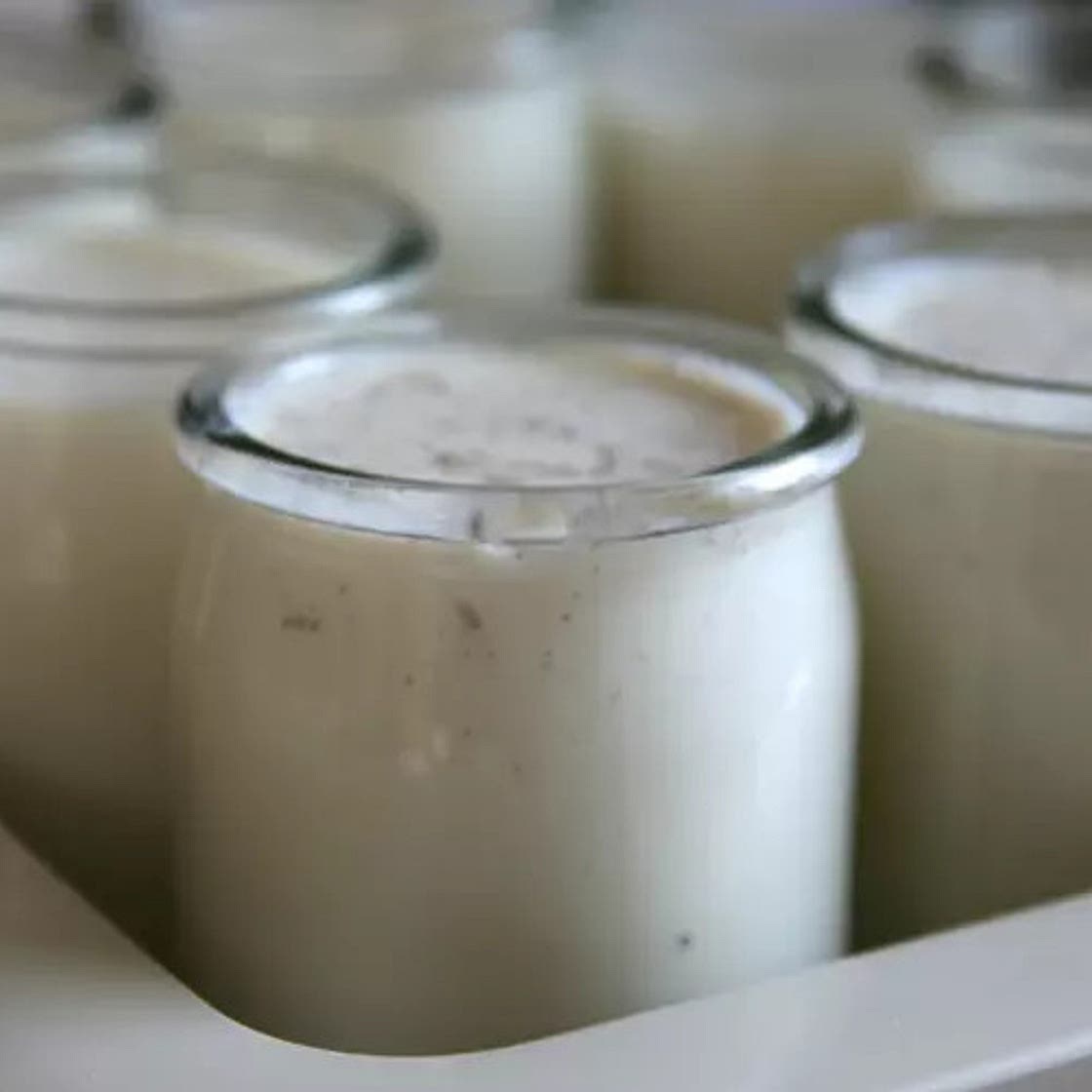Yaourts au Thermomix