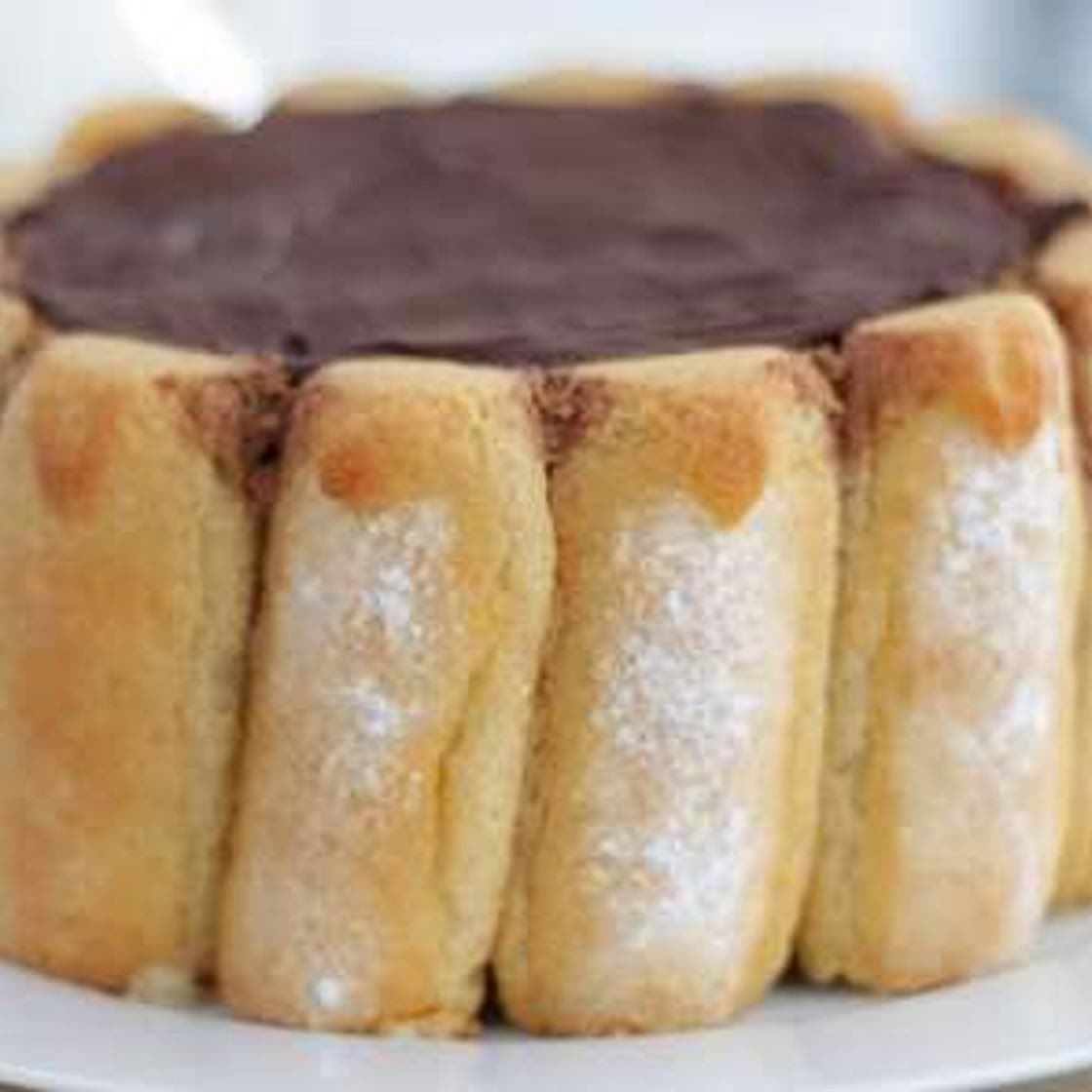 Charlotte au chocolat