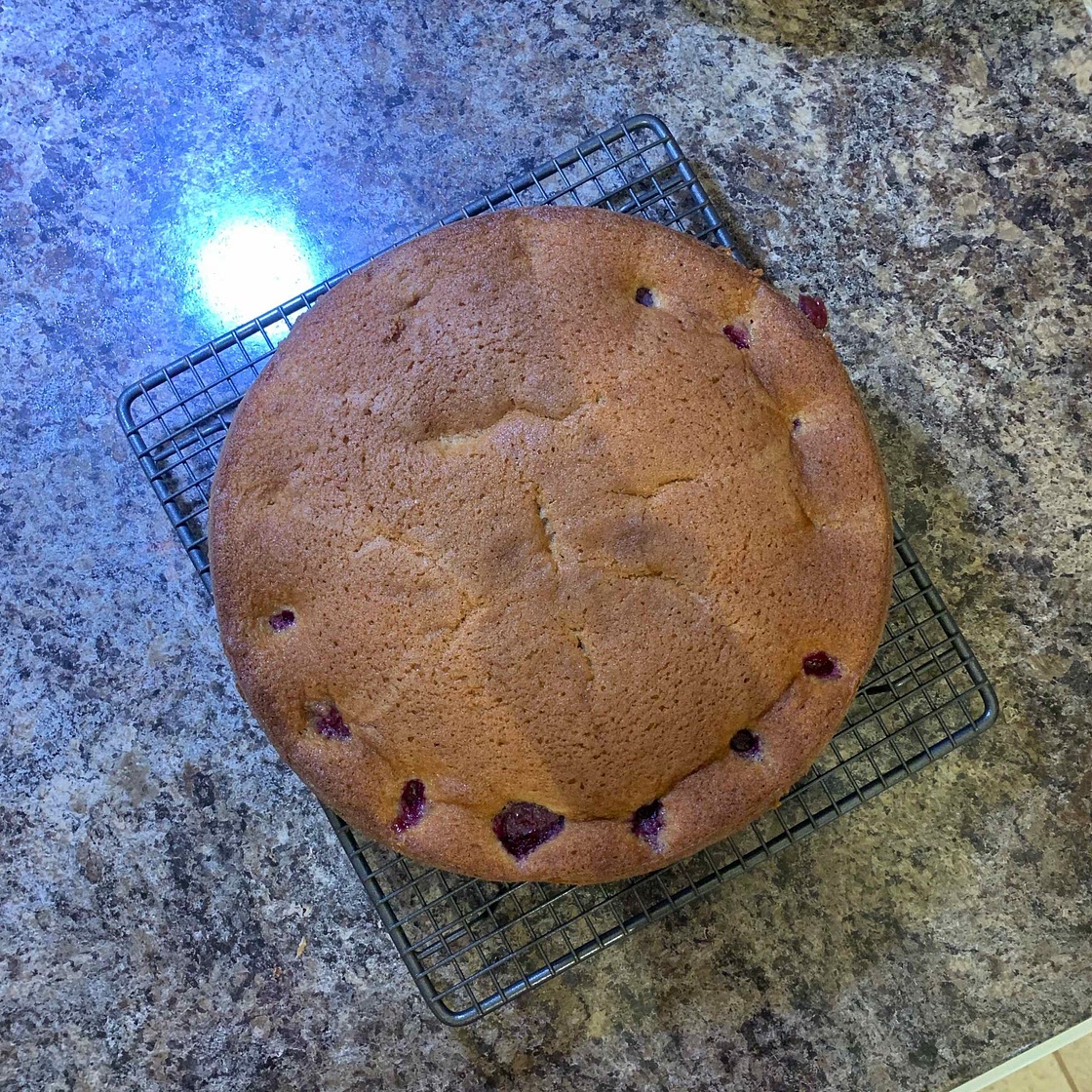 Late Summer Plum Cake