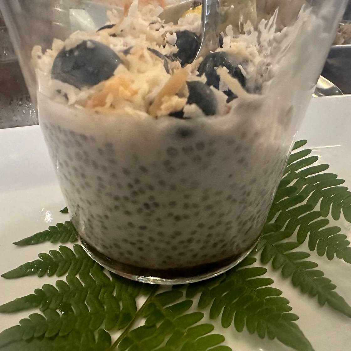 Chia Seed Coconut Blueberry Cherry Wedding Brunch Pudding