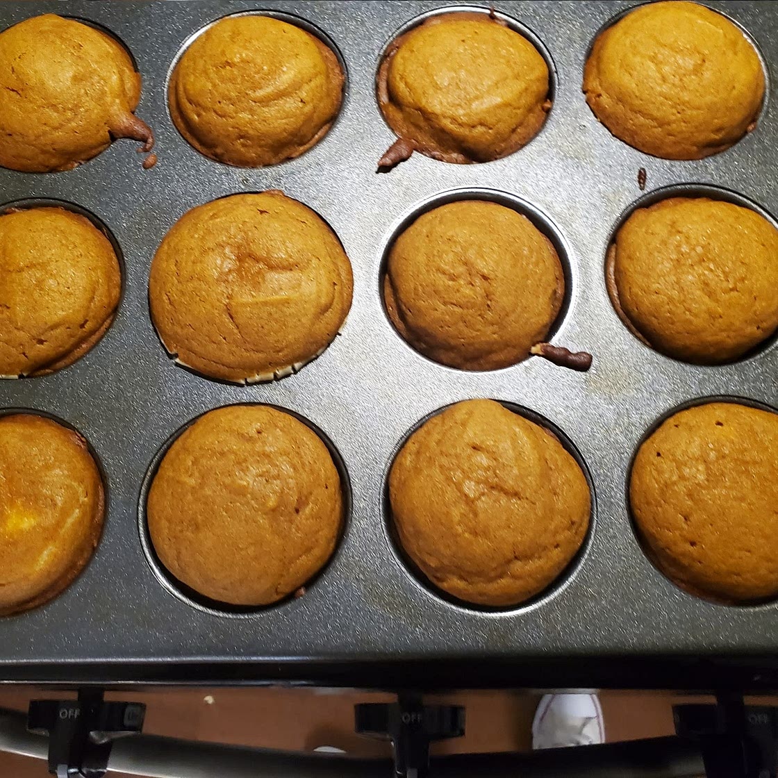 Pumpkin Muffins