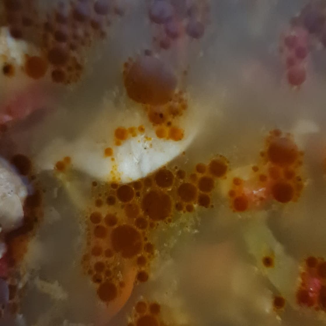 Chicken cumin and Harris soup