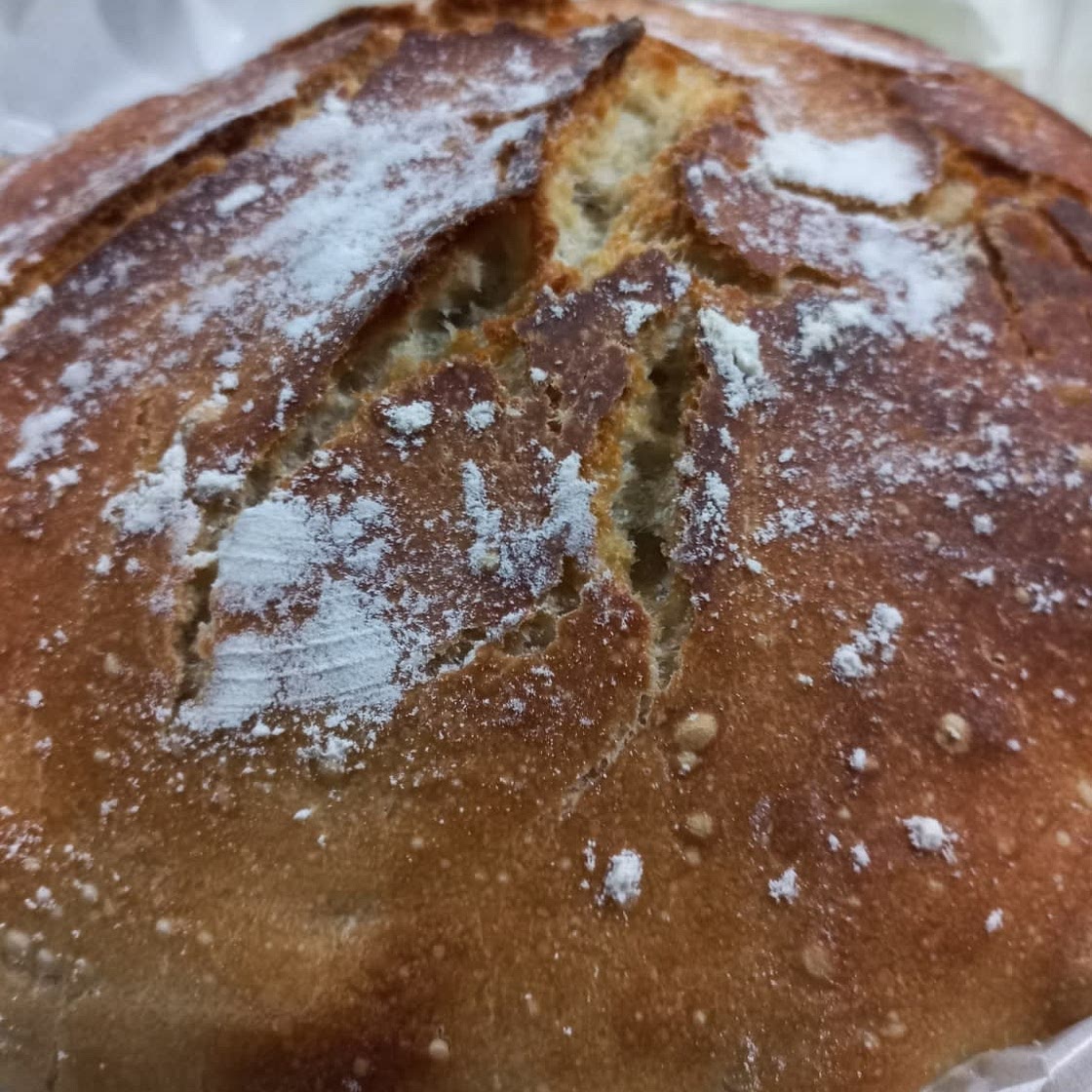 Easy Crusty Dutch Oven Bread
