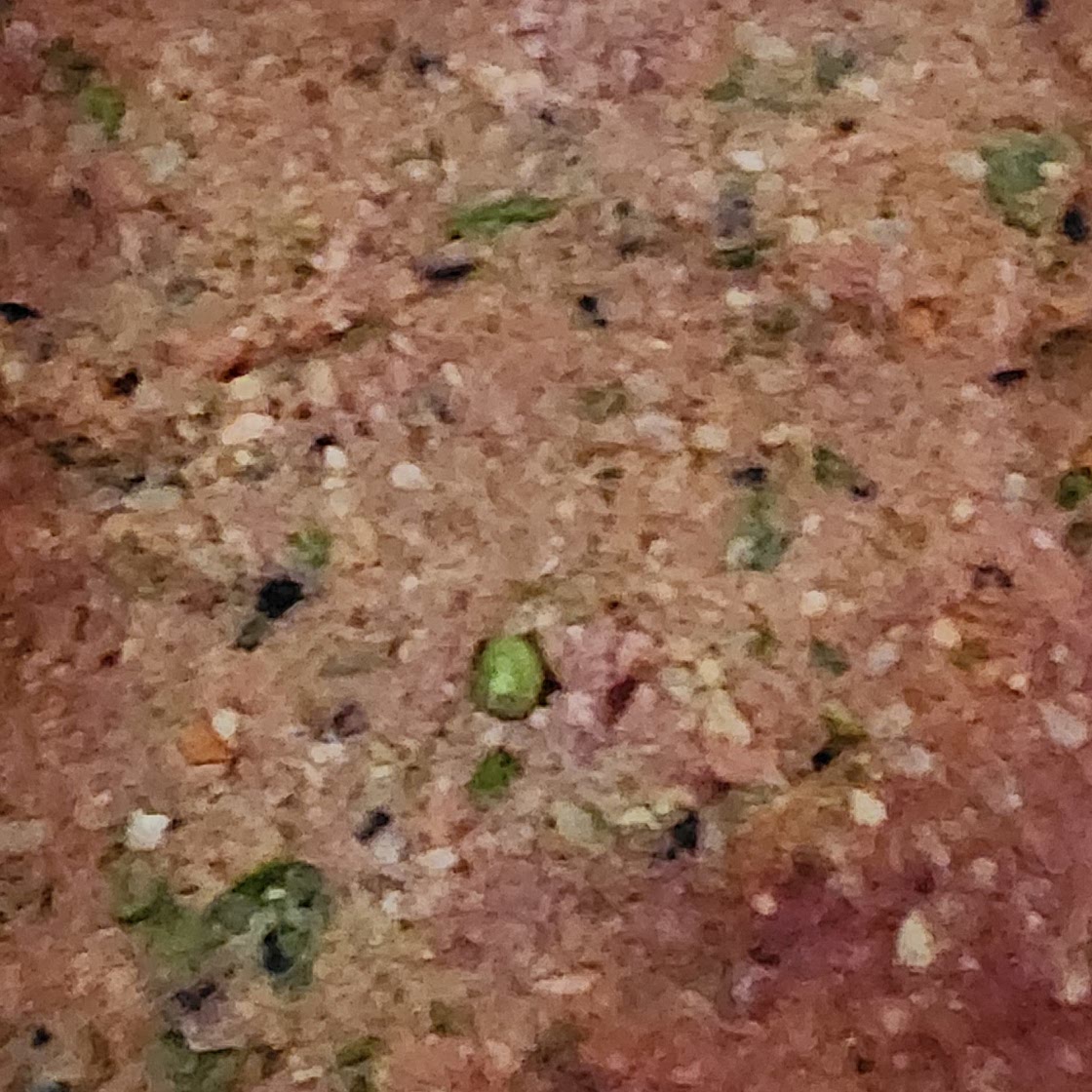 Grass fed beef Dog Food