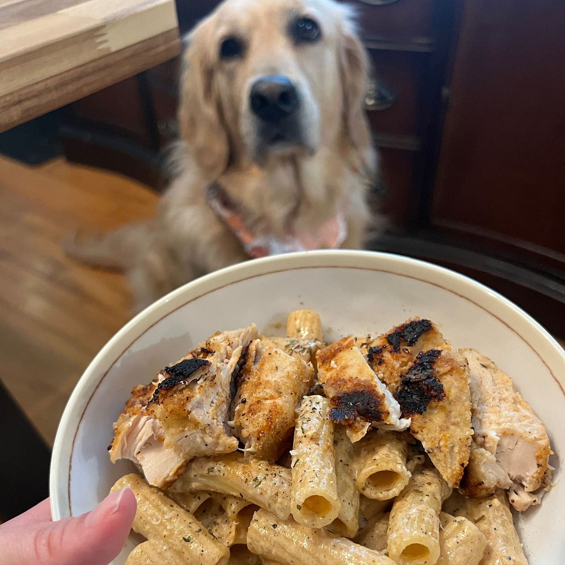 Southern Style Creamy Parmesan Chicken Pasta