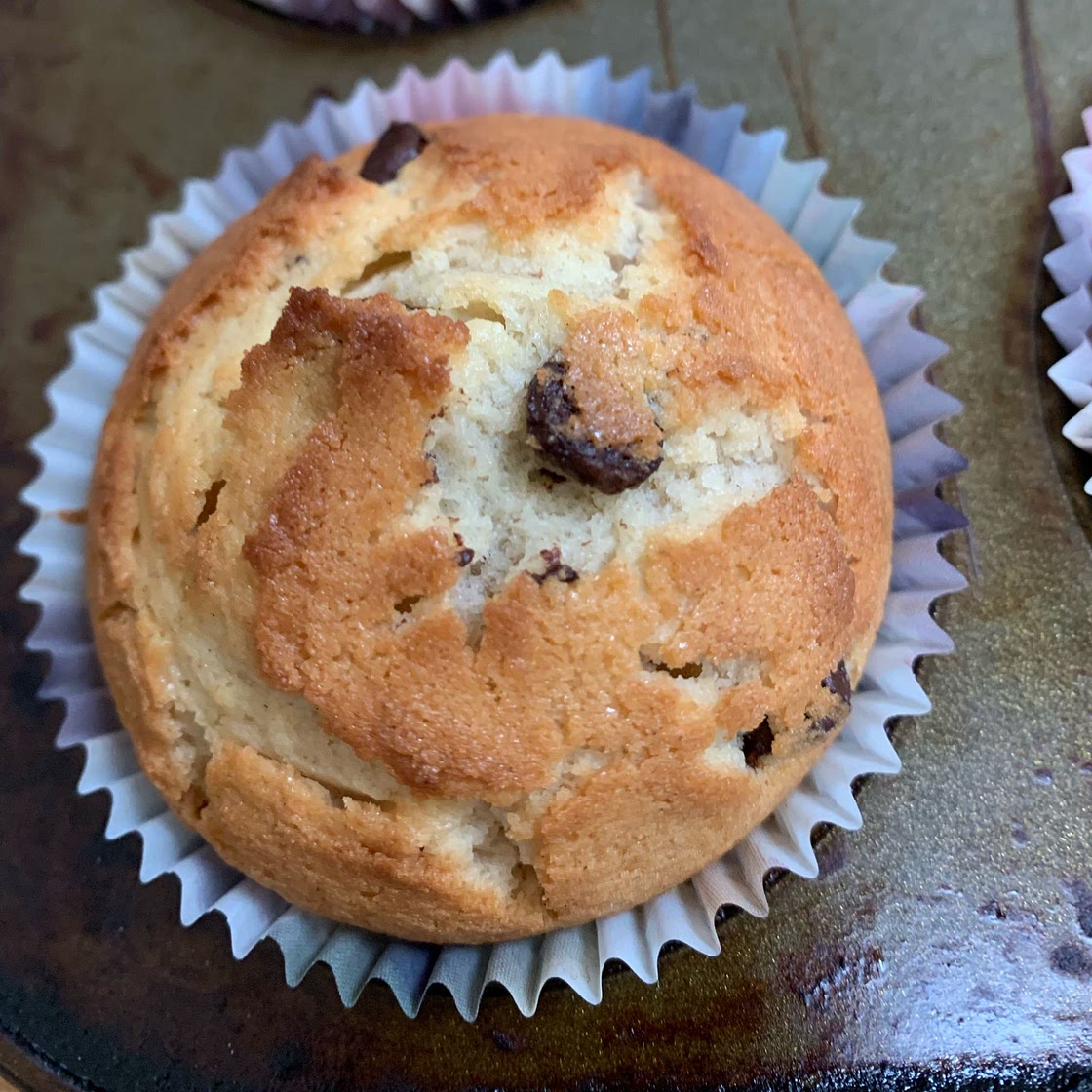 Basic muffin recipe