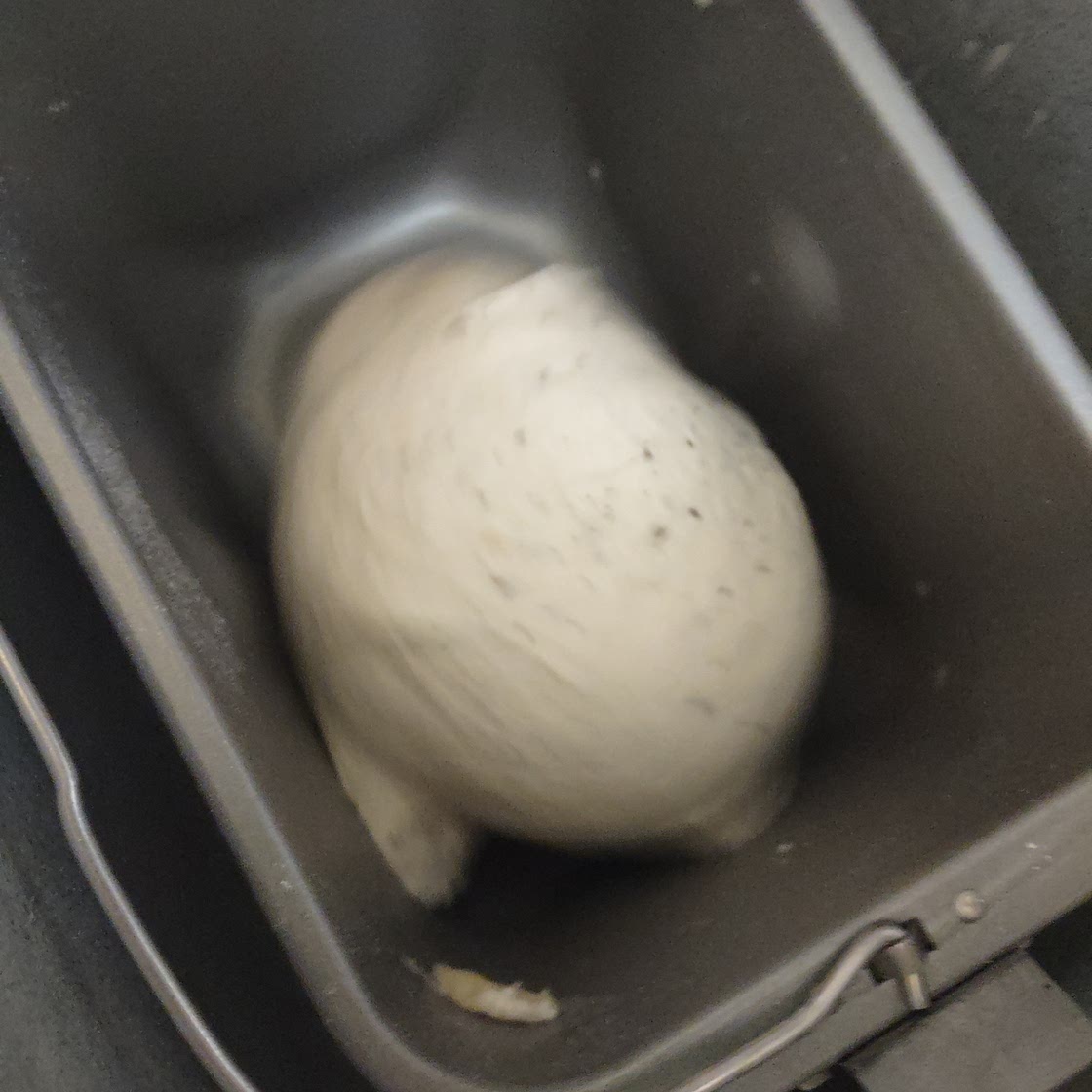 Italian Seasoned Pizza Dough