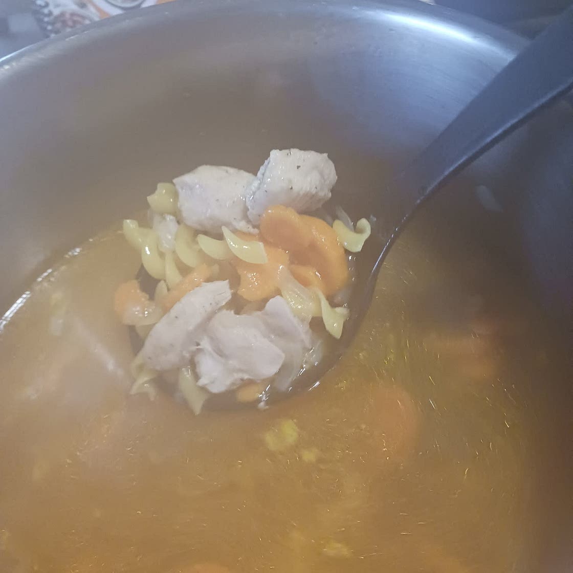 Instant Pot Chicken Noodle Soup