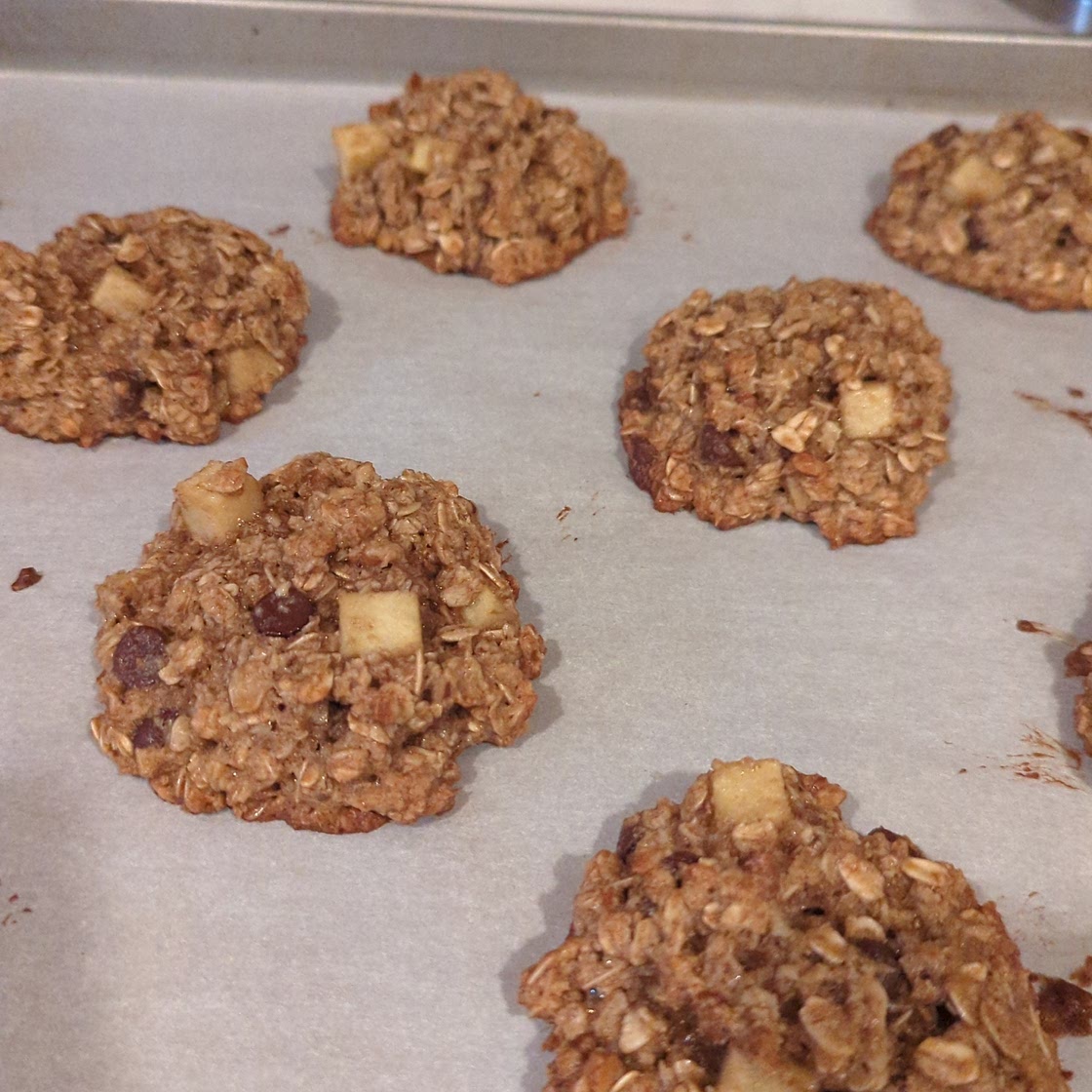 Breakfast Cookies (2nd Try)