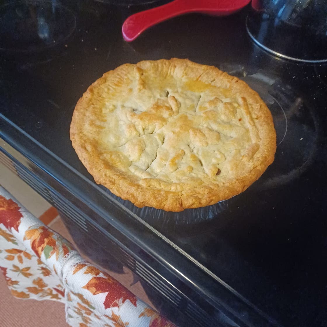 5-Ingredient Beef Pie