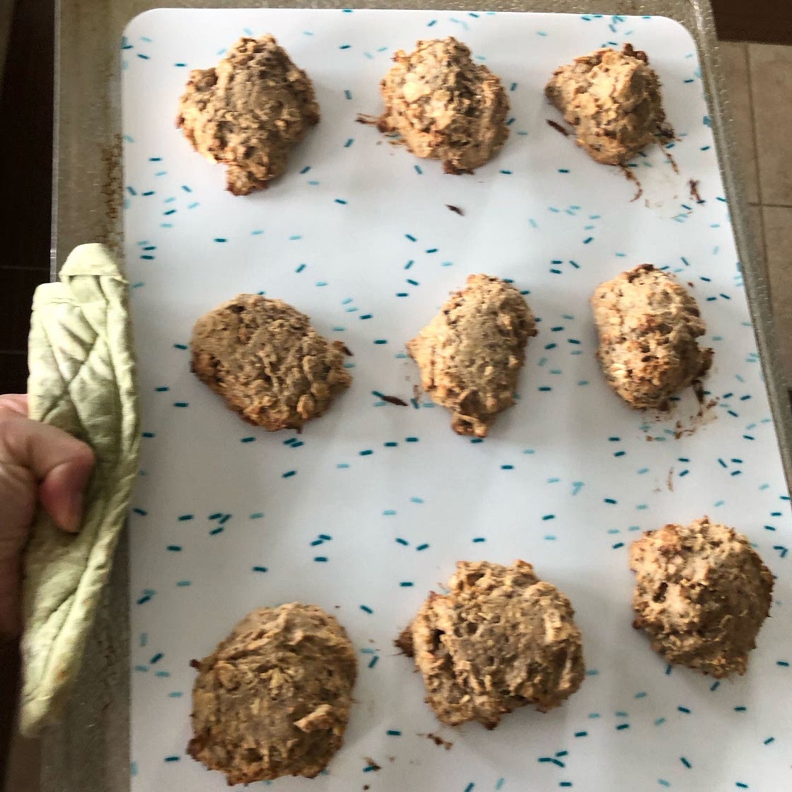 Peanut Butter Banana Oat Protein Cookies