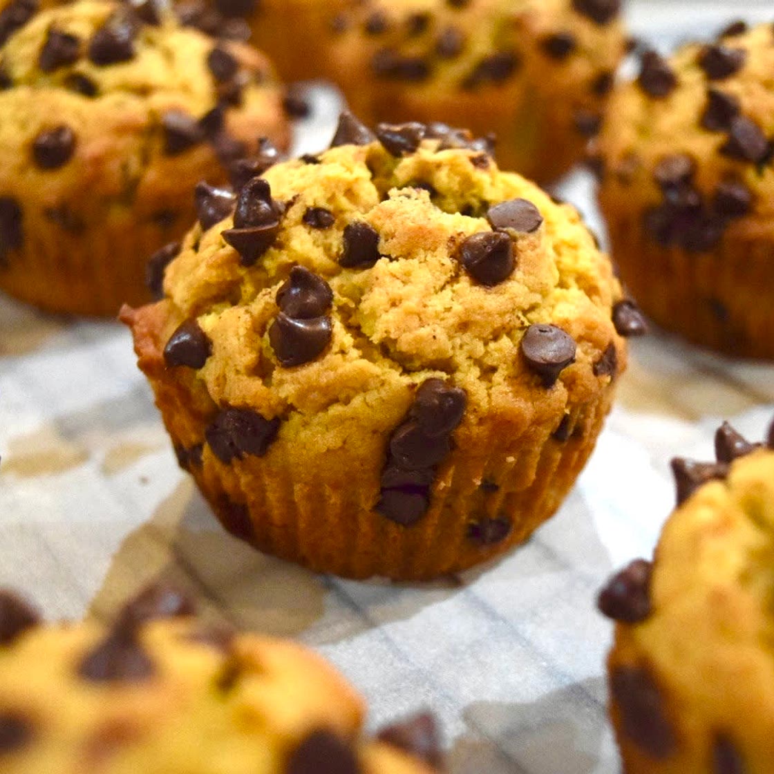 Pumpkin Chocolate Muffins