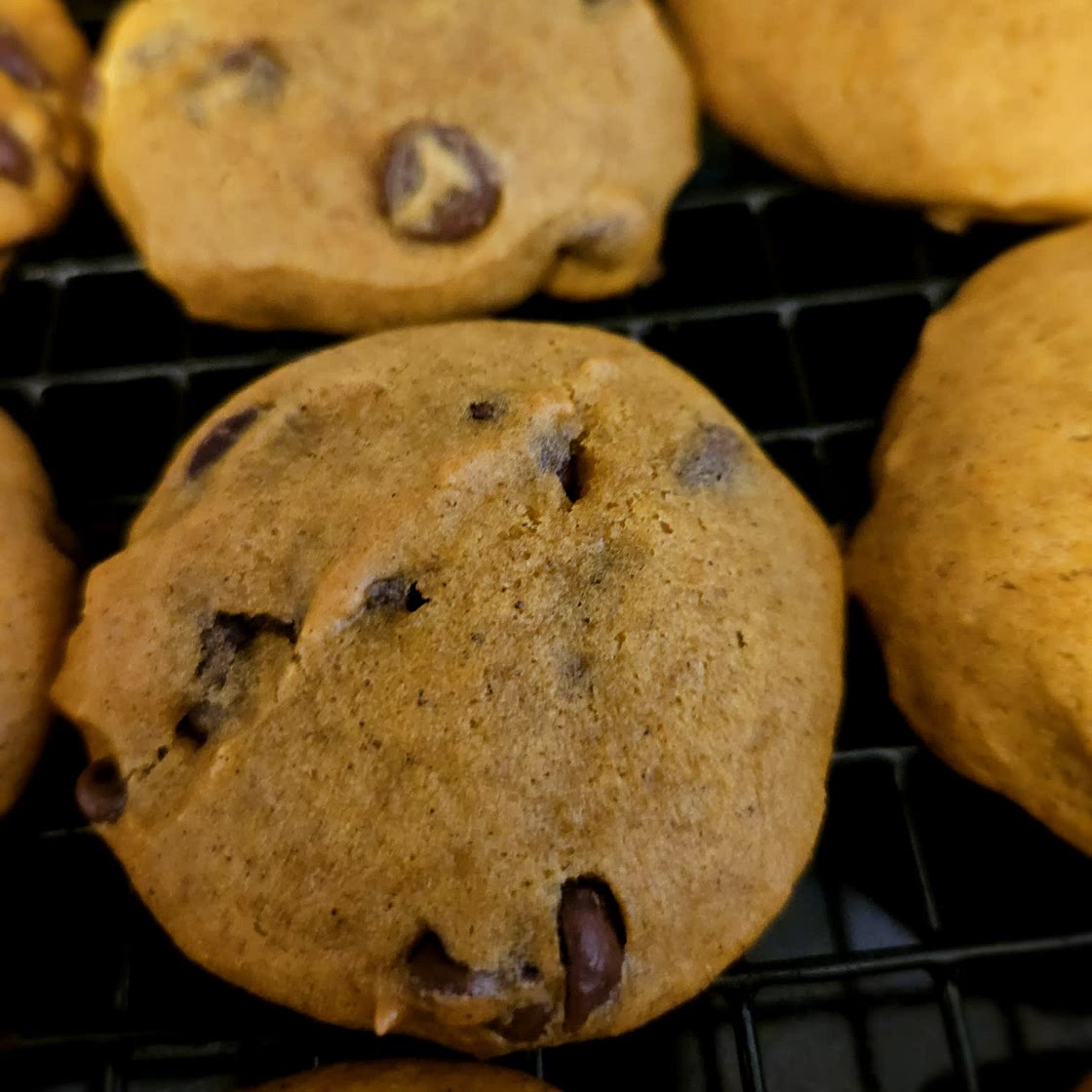Pumpkin Chocolate Chip Cookies