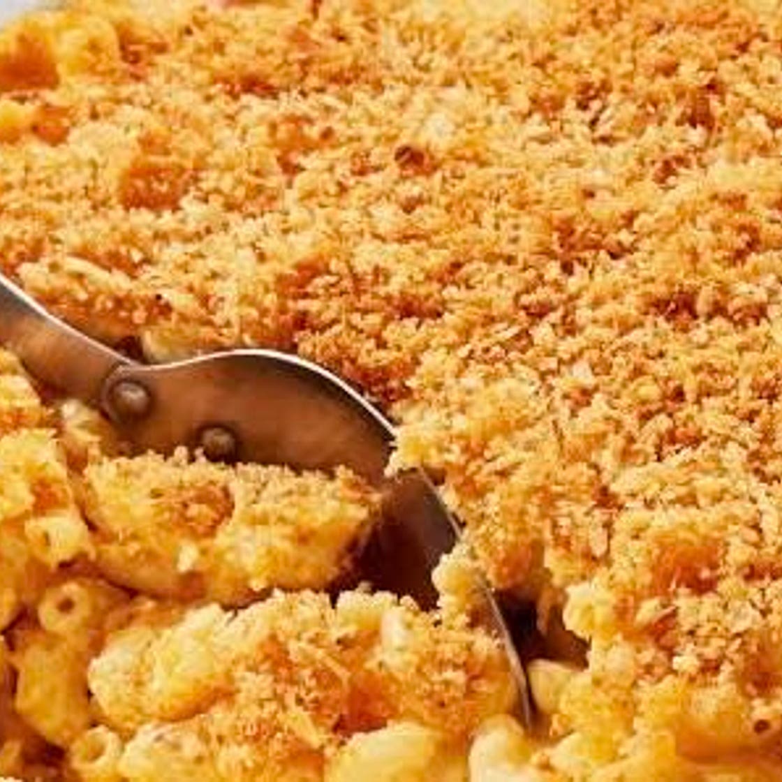 Gourmet Mac n Cheese 