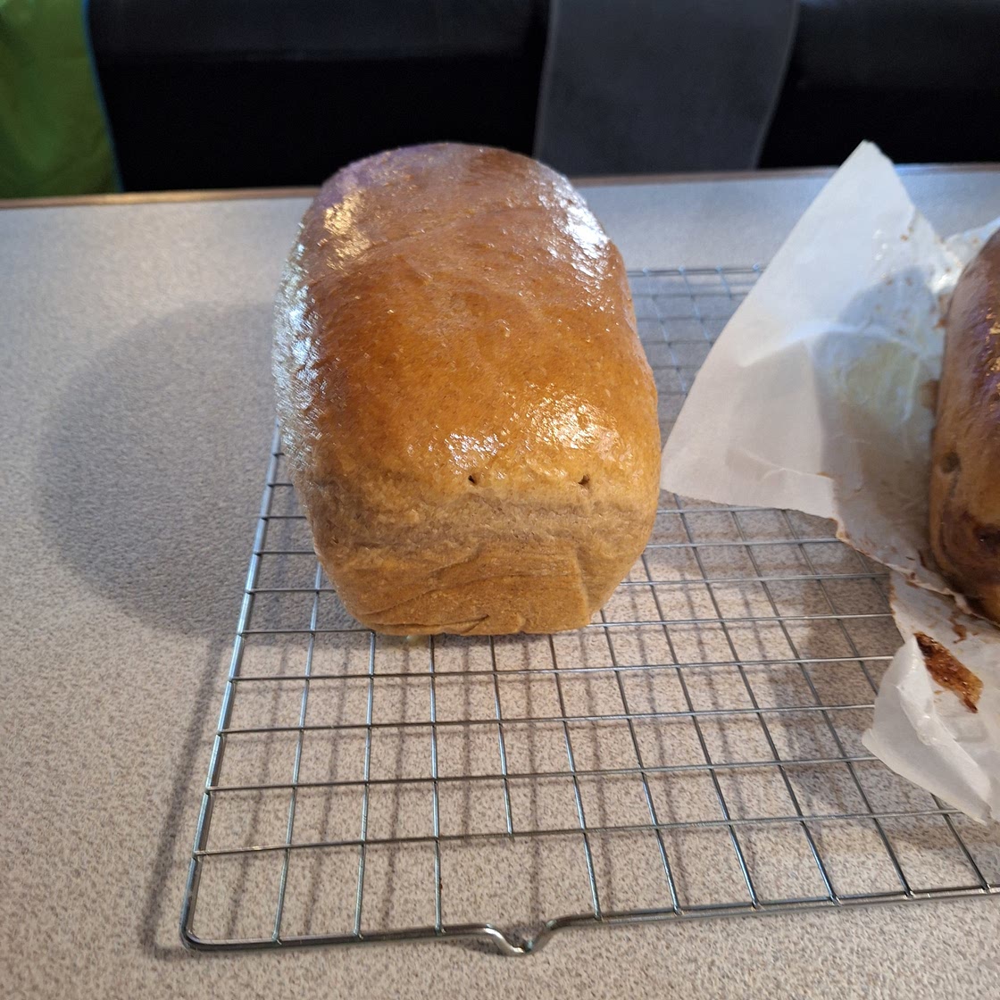 Homemade whole wheat sourdough