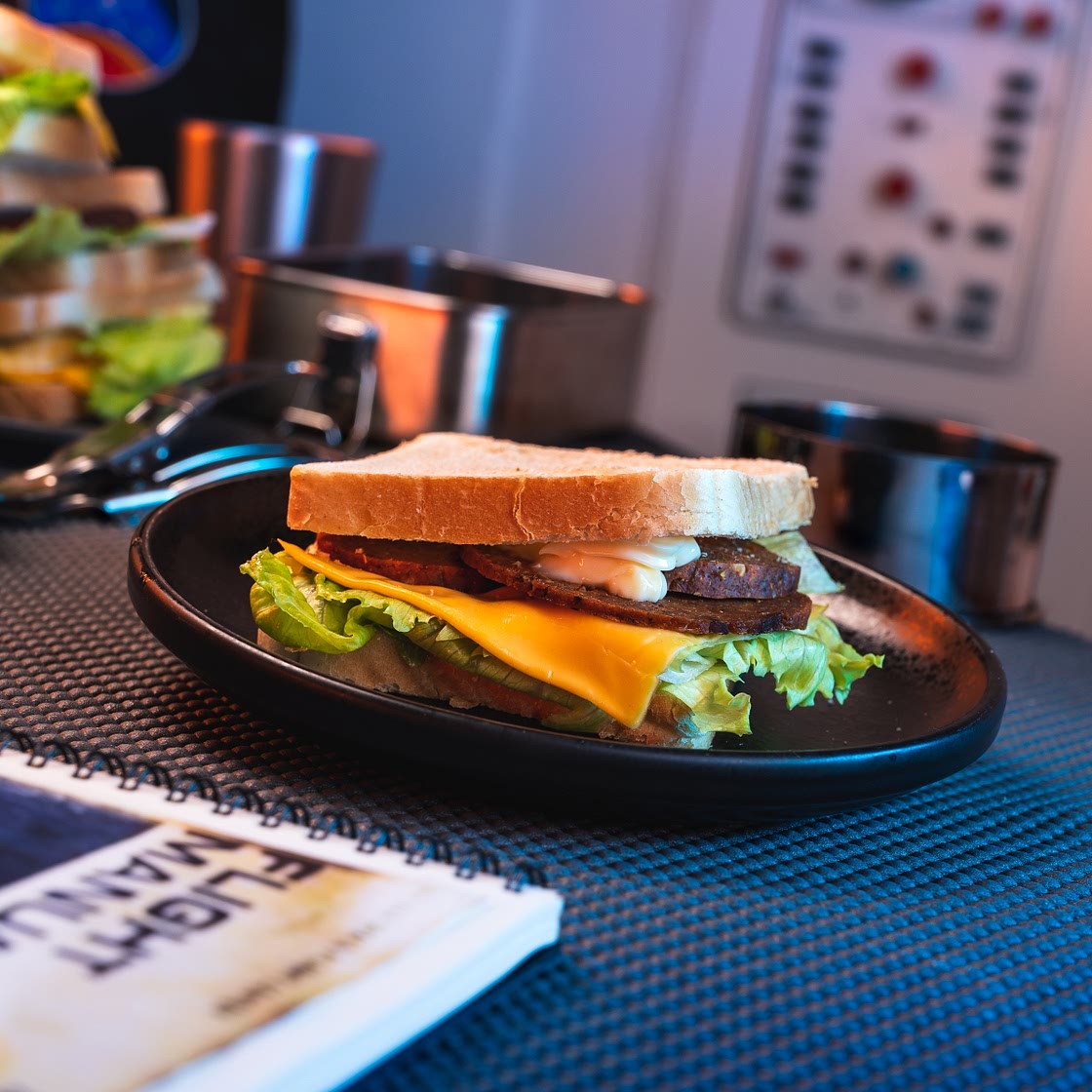 The Sandwich with Multi-meat salami - Starfield NERDS' KITCHEN