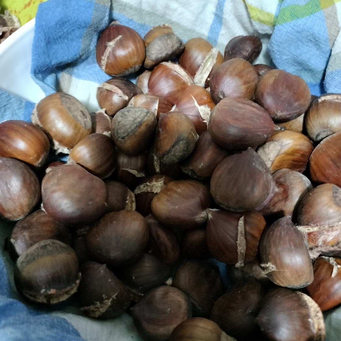 Castagne con la friggitrice ad aria