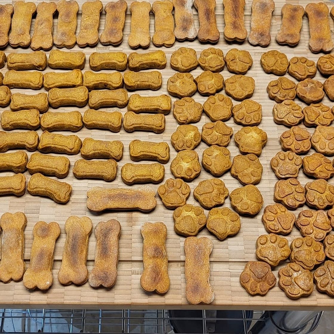Homemade Dog Treats (Peanut Butter and Pumpkin)