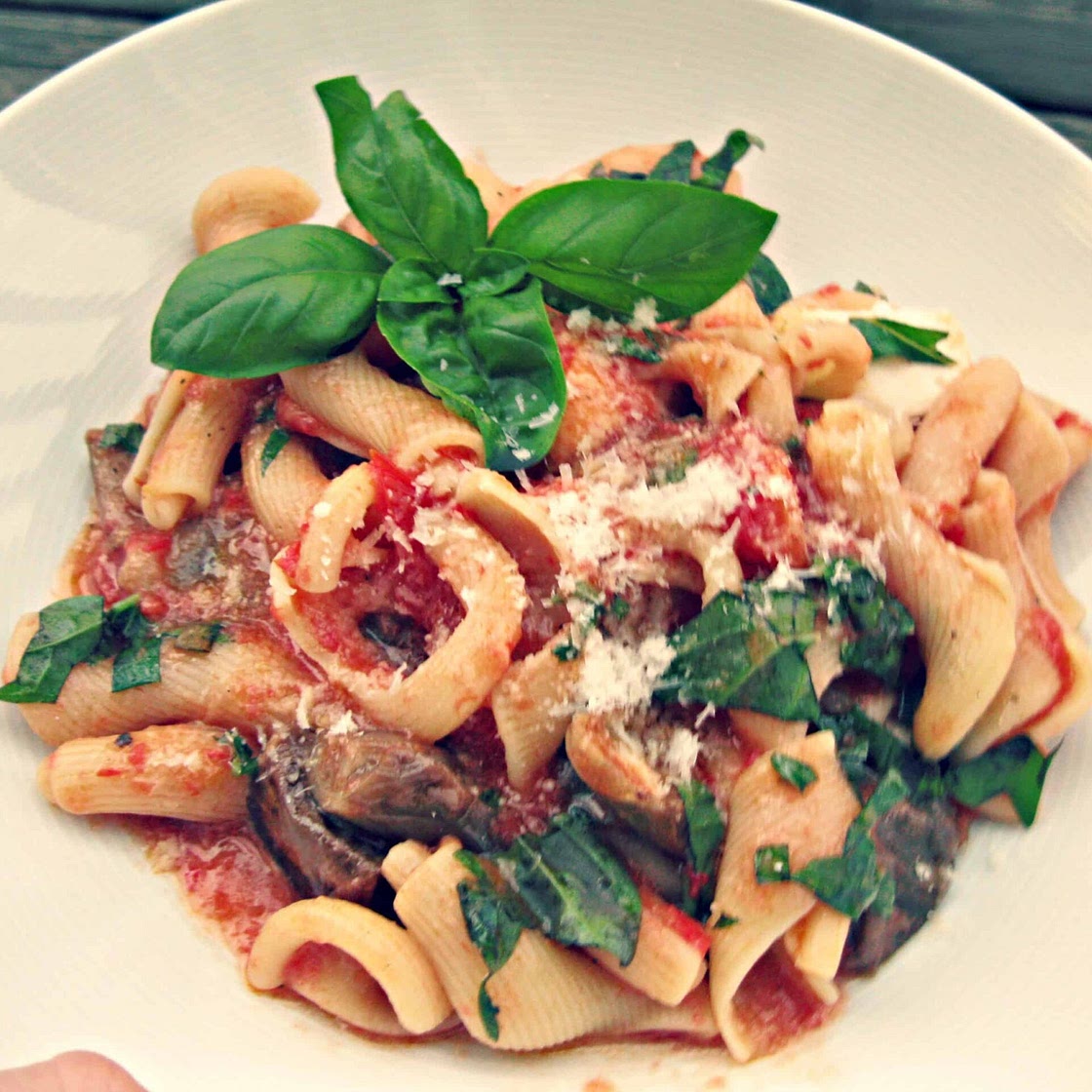 Pasta with Fairytale Eggplant, Tomatoes, Fresh Mozzarella and Basil