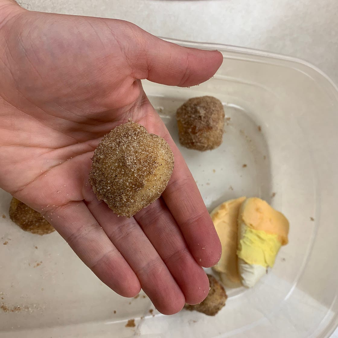 Homemade Air Fryer Doughnut Holes