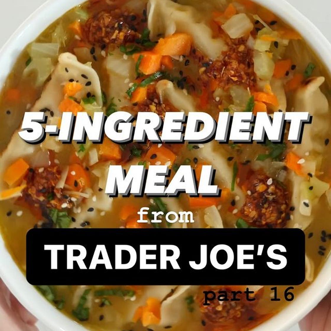 Potsticker Soup