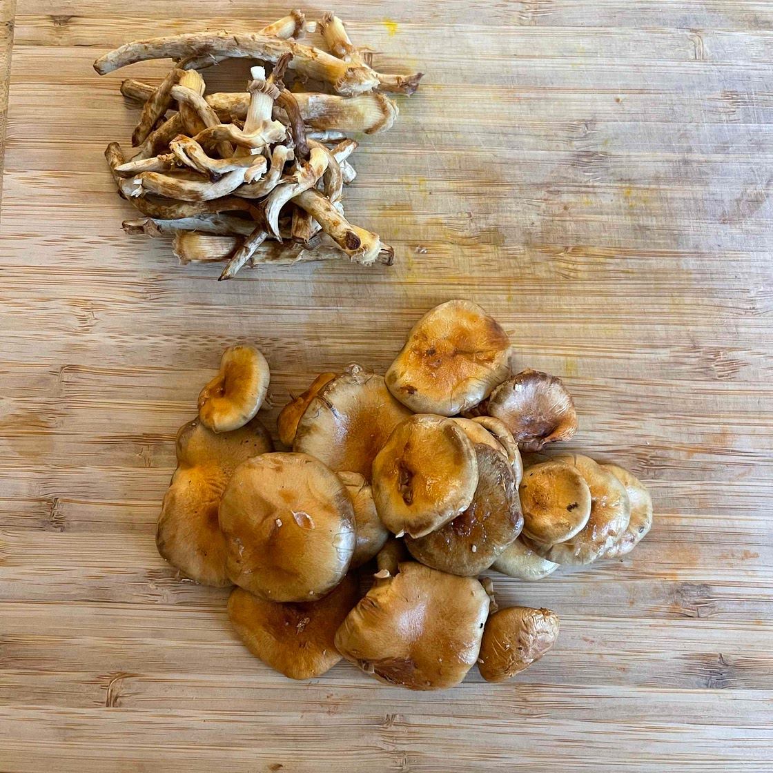 How to: Broth