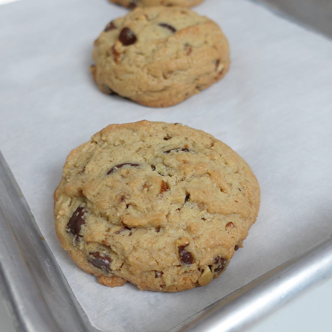 Chocolate Chip Walnut Cookie