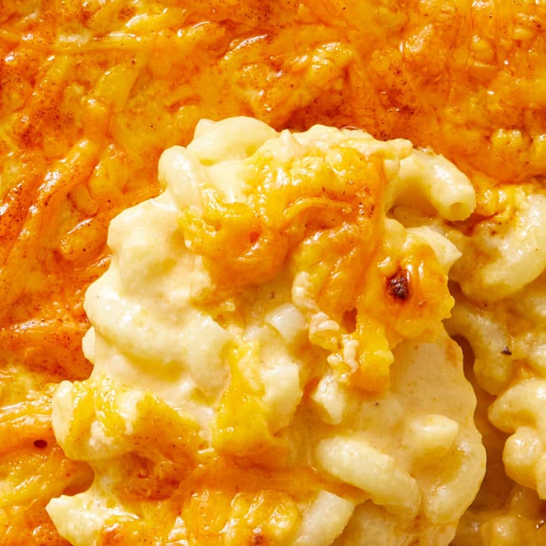 Homemade Mac and Cheese