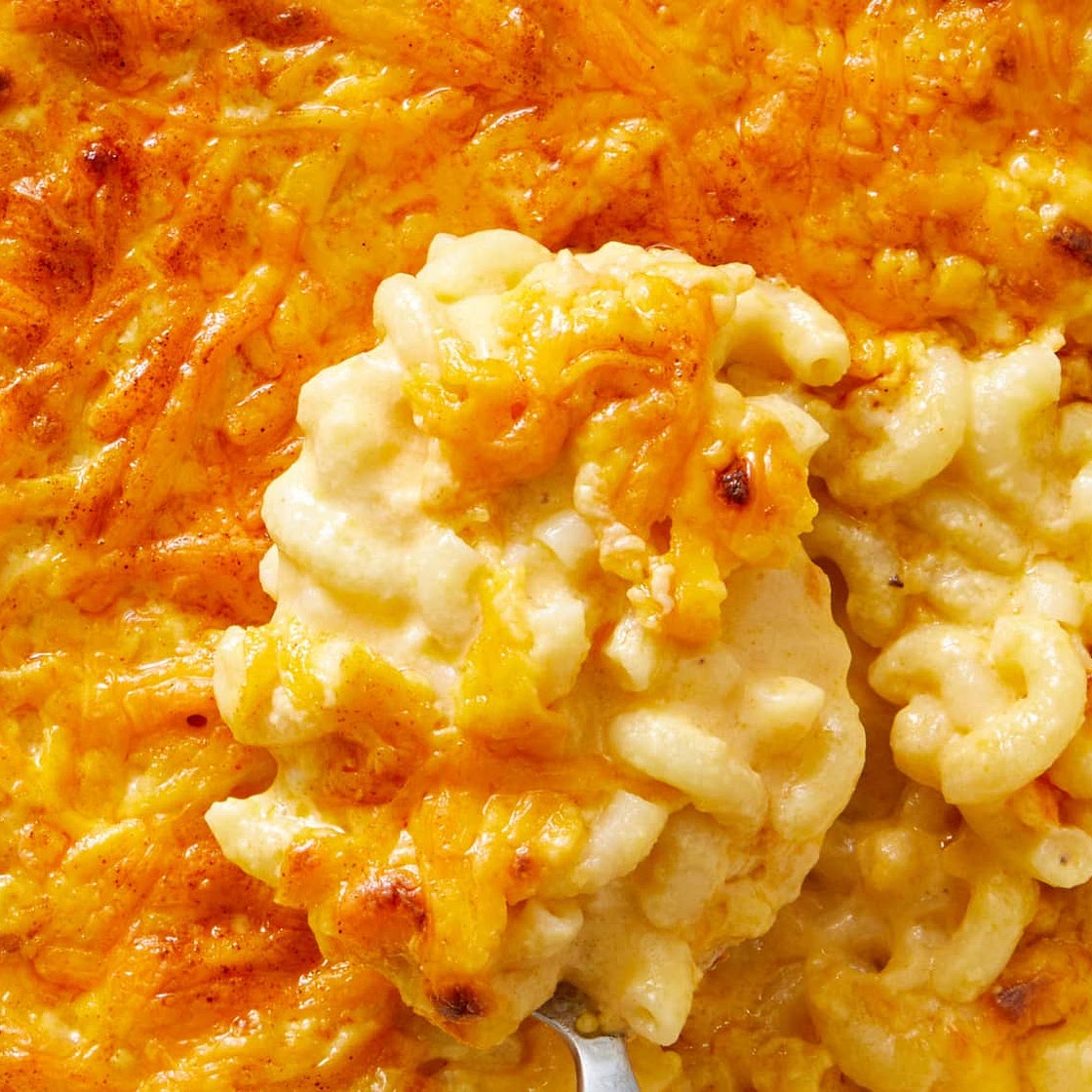 Homemade Mac and Cheese