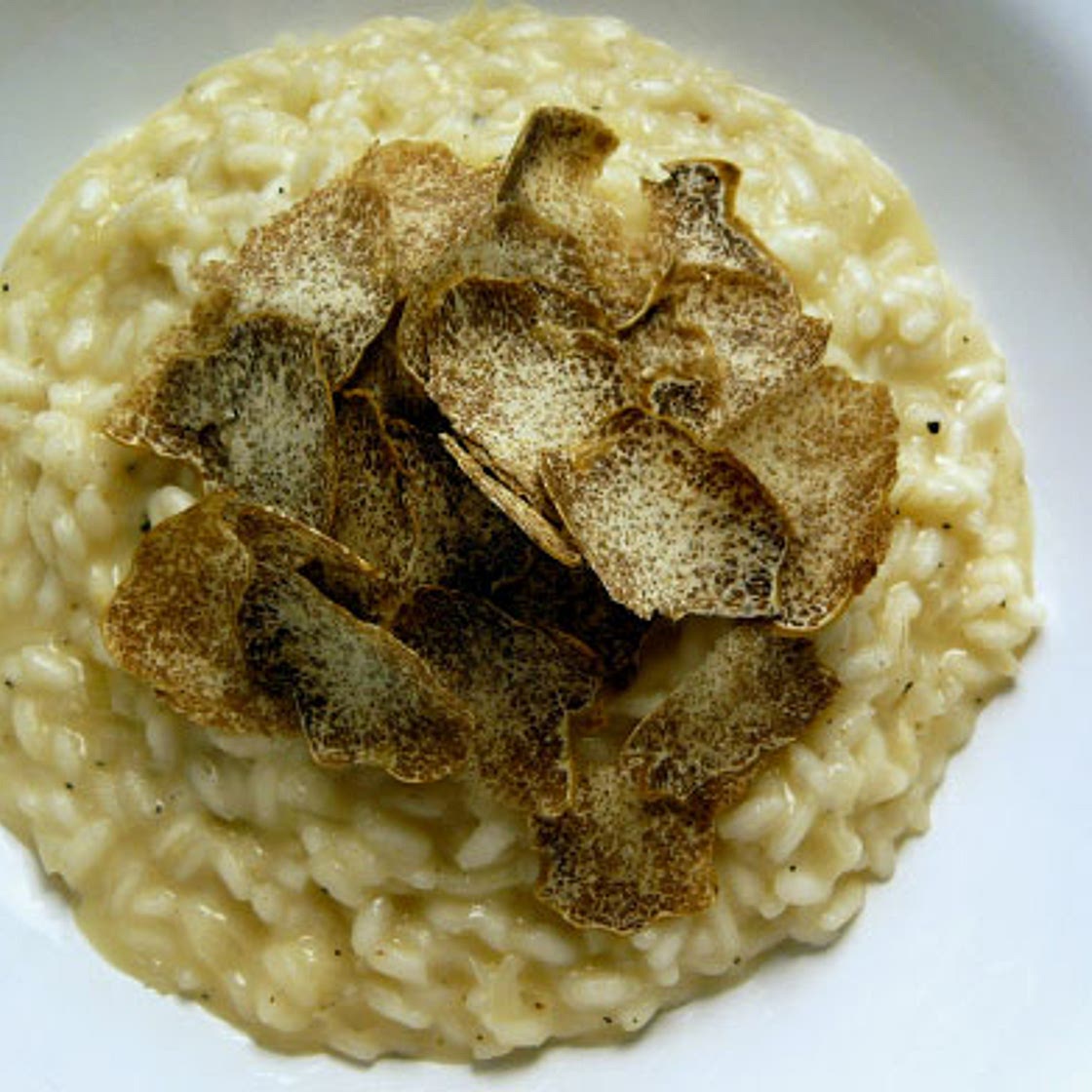 Risotto à la truffe blanche d'Alba - La Cuisine Italienne
