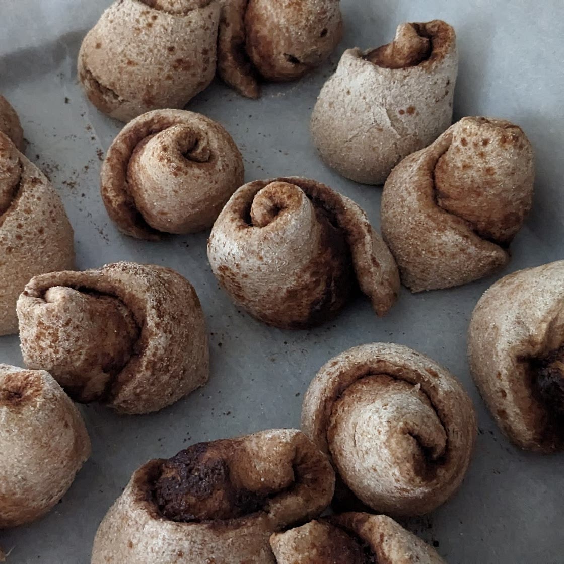 Healthy Cinnamon Rolls - NO Yeast!