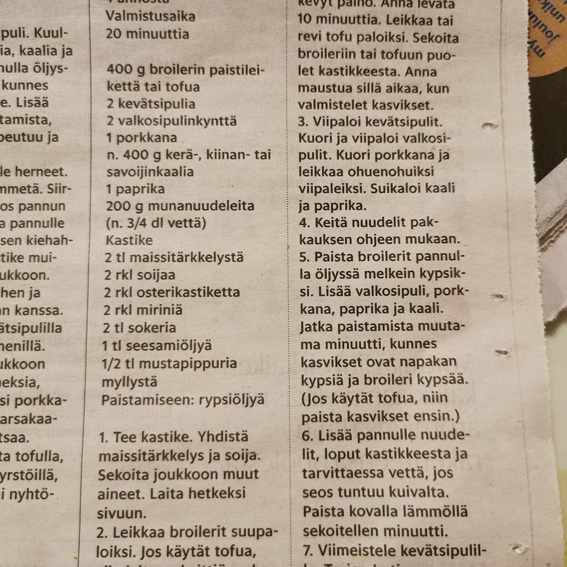 Paistetut nuudelit
