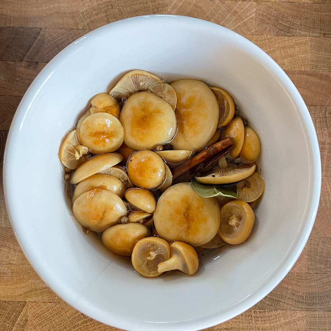 How to: Pickled mushroom