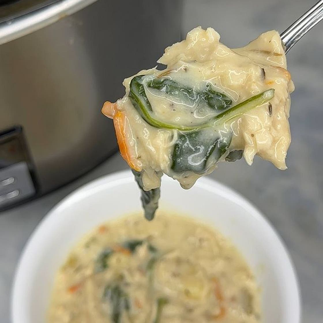 Crock Pot Chicken &amp; Gnocchi Soup 🥣