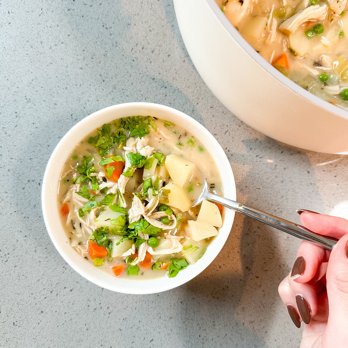 DAIRY-FREE CHICKEN POT PIE SOUP