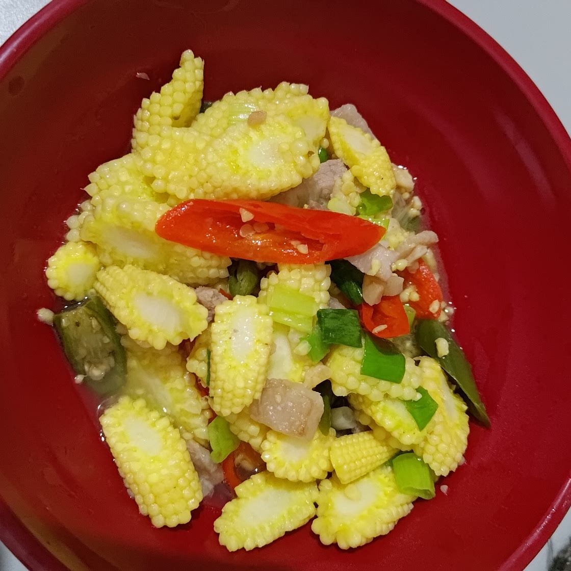 Cah jagung muda putren babi