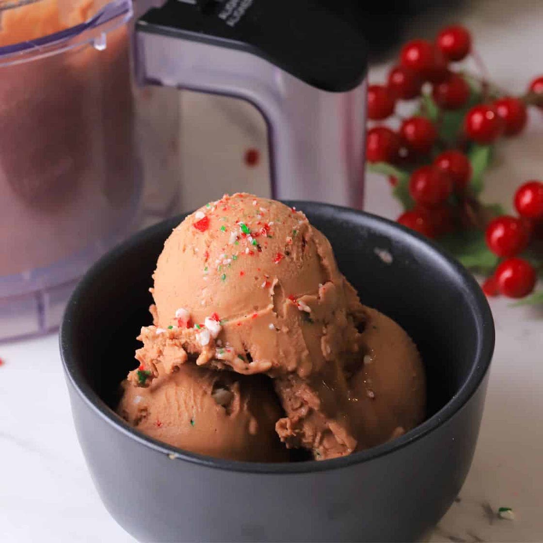 Ninja Creami Sugar Free Peppermint Mocha Ice Cream