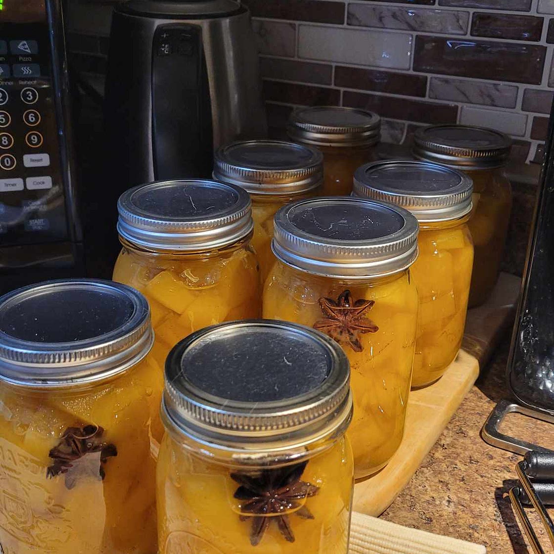 Citrouilles marinées sucrées