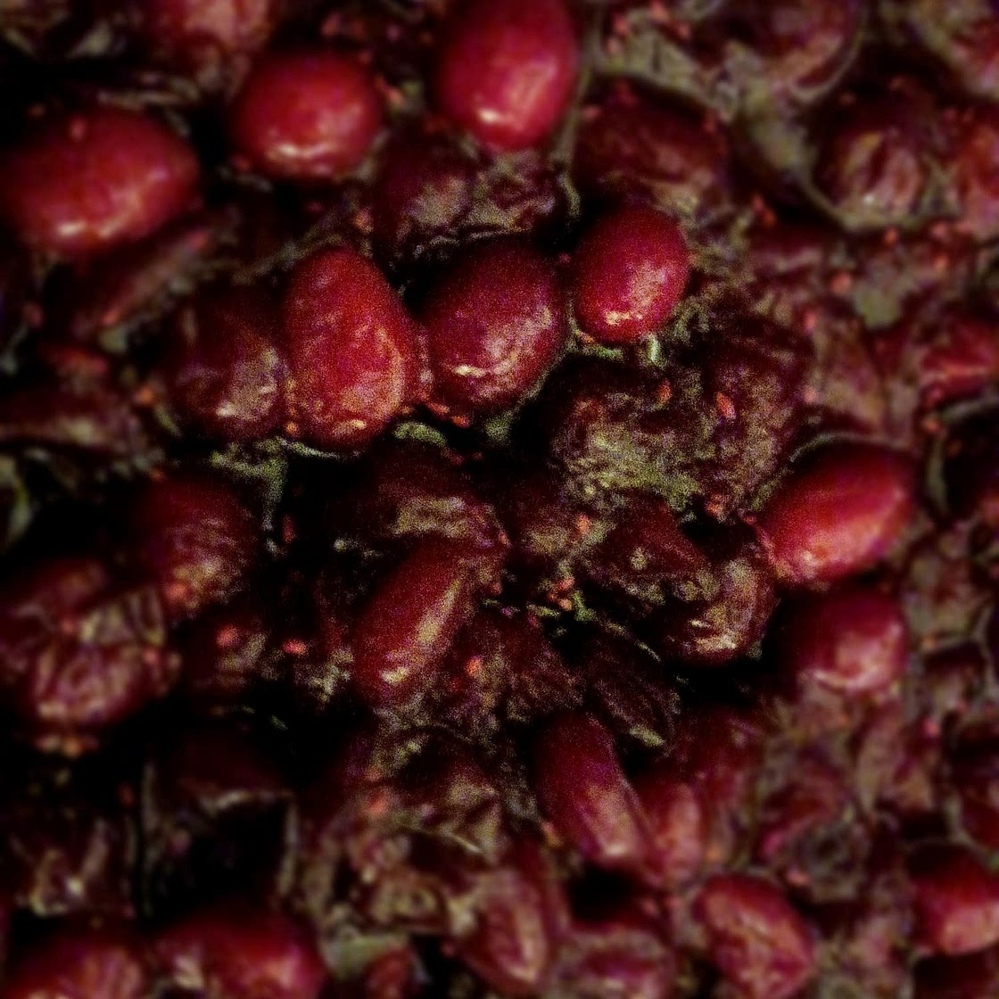 Cranberry Orange Sauce