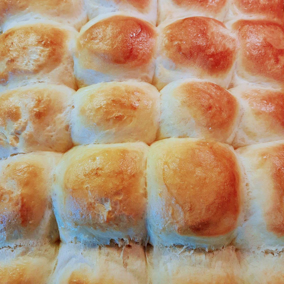 Hot Rolls