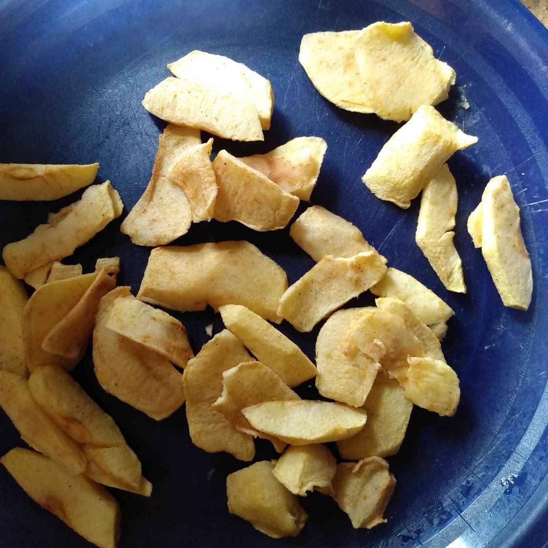 Crispy Homemade Air Fryer Apple Chips (2-Ingredient Recipe)