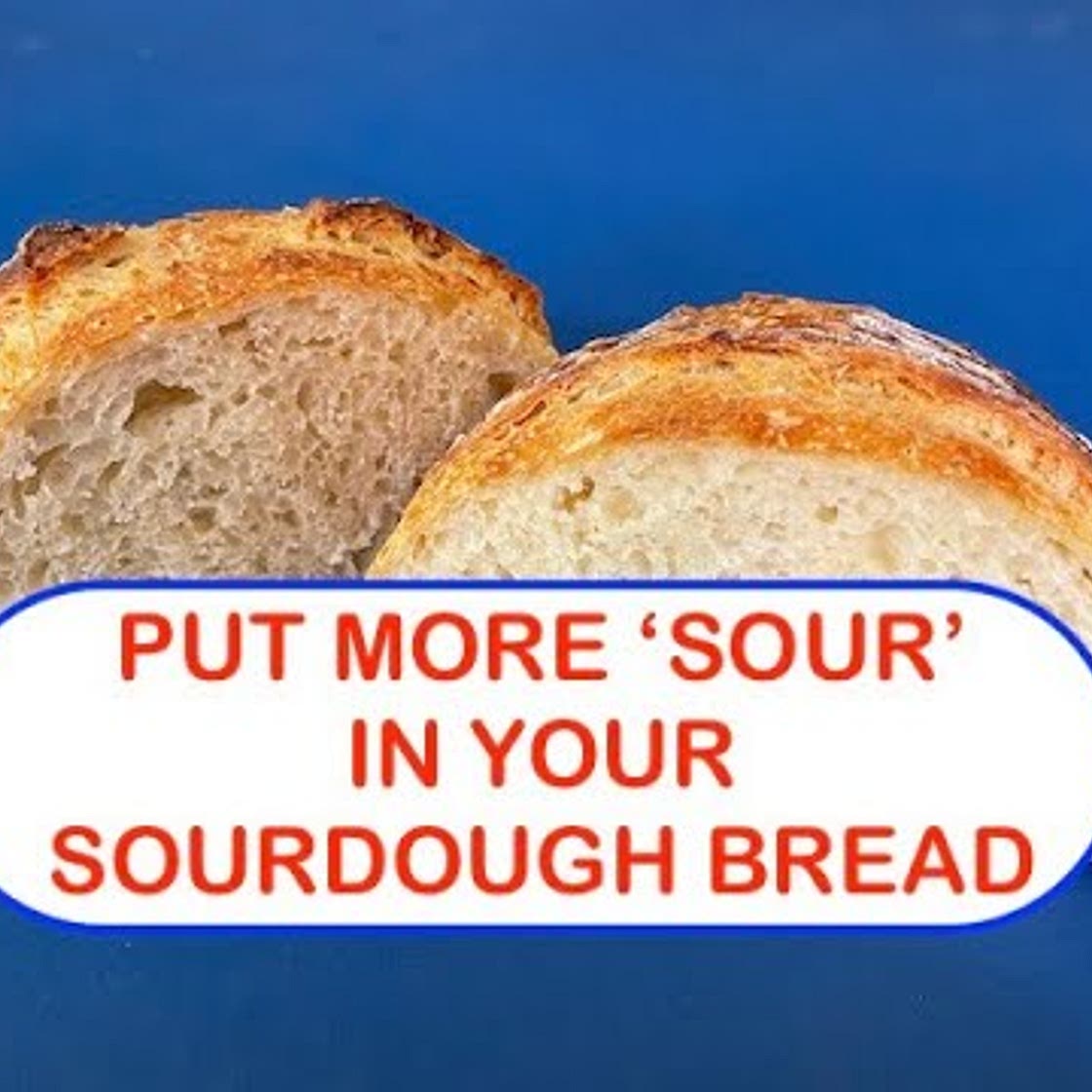 Ron Tressler “SOUR" SOURDOUGH BREAD